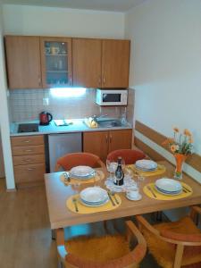 Kuchyň nebo kuchyňský kout v ubytování Apartmán Arsinoe