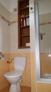 a bathroom with a white toilet and a shower at Apartmán Arsinoe in Oščadnica