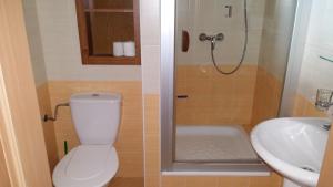 a bathroom with a toilet and a sink at Apartmán Arsinoe in Oščadnica
