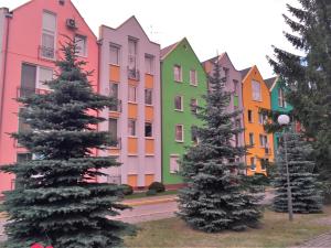 スヴェトロゴルスクにあるApartment in Svetlogorskの前方の木々が並ぶ色彩豊かな建物