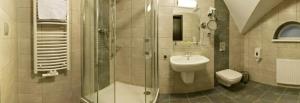 Ένα μπάνιο στο Hotel Kamienica +43 φωτογραφίες