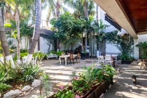 a patio with a table and chairs and palm trees at Chapalita Grand House in Guadalajara