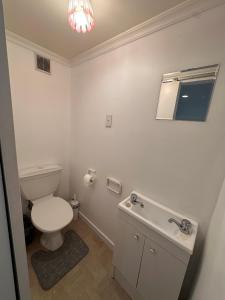a white bathroom with a toilet and a sink at Cosy queen room with ensuite toilet and private bathroom, shared spa pool in Dunedin