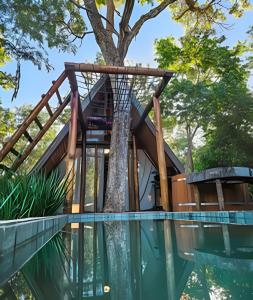 a tree house with a swimming pool at Espaço Gaia in Santana do Riacho