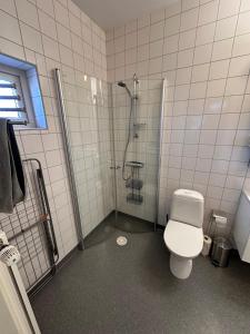 Un baño con ducha y WC. en Charmigt boende med egen ingång, en Karlstad