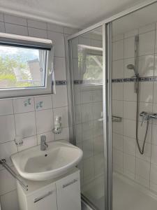 a bathroom with a sink and a shower at Apartment im Heidchen in Knüllwald