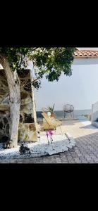 un árbol y un banco y una mesa y un árbol en Villa Flamingo, en Arguineguín