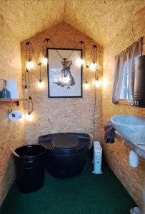 MeltosjärviにあるBlue Moment at the Arctic Circle- Forest, beach, activitiesのトイレと洗面台付きのバスルーム