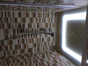 NovoliにあるMassimo Apartmentのバスルーム(照明付きのシャワーブース付)