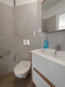 Gallery image of Cozy newly renovated in Radom