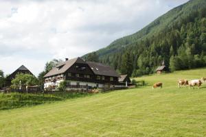 a group of cows grazing in a field in front of a house at Der Perweinhof in Donnersbachwald