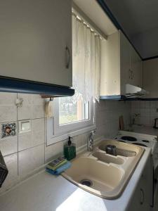 パリウリにあるAlexandra's gardenのシンクと窓のある白いキッチン +54枚の写真