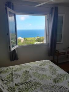 a bedroom with a bed and a large window at Chambre vue sur mer entre Grande Anse et Manapany in Petite Île