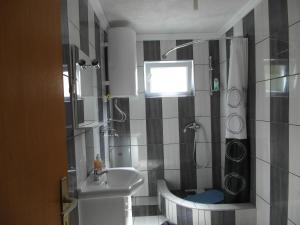 Koupelna v ubytování Apartment Tina Gračac