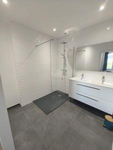 a bathroom with a shower and a sink and a mirror at Maison Loire & Cé'rénité in Les Ponts-de-Cé