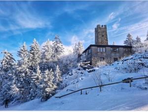 a building on a snow covered hill with trees at Ferienhaus auf dem Land in Zell im Fichtelgebirge