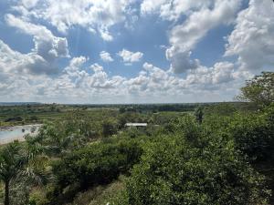 a view of a field with trees and a river at Mangal Srushti Agro Tourism 