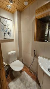 Koupelna v ubytování Peaceful Hideaway near Levi Adventures activities + 67 fotografií