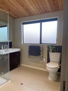 Un baño con inodoro, lavabo y ventana. en A peaceful oasis, en Dunedin
