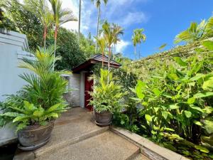 a garden with potted plants in front of a building at 30 - Panoramic View Villa in Thalang in Thalang