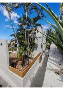 a palm tree in a planter on the side of a building at Villa Emeraude in Saint-Louis