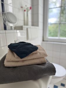 a pile of towels sitting on a counter in a bathroom at Landhaus am See Flecken Zechlin in Rheinsberg +40 photos