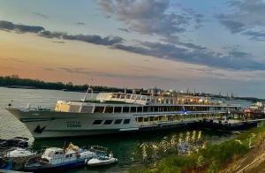 鲁塞Boat Hotel Sofia的游轮停靠在码头