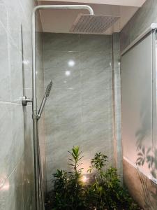 a shower with a glass wall with plants in it at AHK Homestay 1 in Phu Quoc +31 photos
