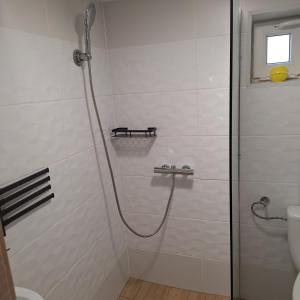 a bathroom with a shower with a glass door at U Małgorzaty in Wojtkowa