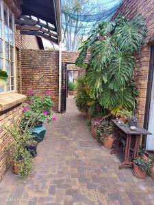 a courtyard with plants and a bench and a brick wall at Feather Tree Bed and Breakfast in Centurion
