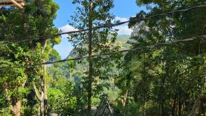 Una vista de un bosque desde una tirolesa en Ella nature nest villa, en Ella