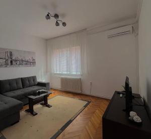 a living room with a couch and a table at msapartman in Surčin