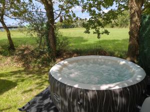 a hot tub in the shade of a tree at Caravane avec spa privatif en campagne in Apremont
