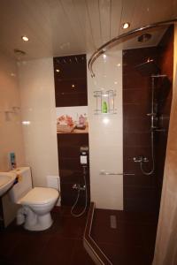 a bathroom with a toilet and a shower at Full Apartment in Yerevan +50 photos