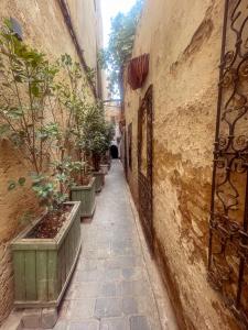 フェズにあるDar Noor Fèsの建物の脇に鉢植えが置かれた路地