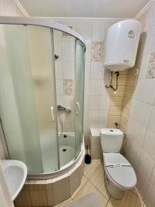 a bathroom with a shower and a toilet and a sink at Удеч in Zhidachov