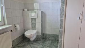 a small bathroom with a toilet and a sink at Haus Nordereck in Wustrow +10 photos