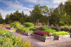 a garden with many different types of flowers at Rudding Park in Harrogate