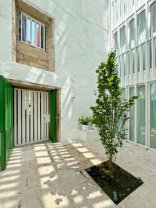 ein Baum vor einem weißen Gebäude mit einer Tür in der Unterkunft housingcoruña RUA DO ANXO in A Coruña