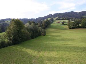 a large green field with trees in the distance at Holiday Home Brixen near Skiwelt Slopes in Brixen im Thale