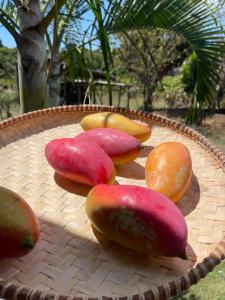 ein Weidenkorb mit verschiedenfarbigen Donuts darauf in der Unterkunft Le petit Relais 1 in Andilana