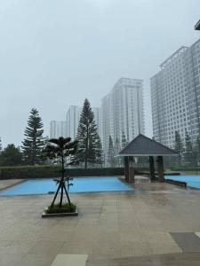 uma árvore num parque com edifícios ao fundo em Taal Lake View Condo in Tagaytay em Kaybagal