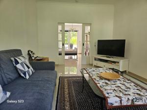 Una sala de estar con un sofá azul y un televisor. en Ganze Wohnung mit Garten, en Bremen