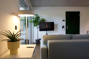 Una sala de estar con un sofá y un televisor. en Studio 111 loft with views over Aarau, en Aarau