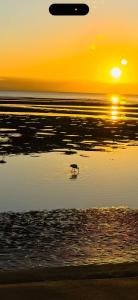 DeagonにあるRoom in a Beautiful Queenslander Houseのギャラリーの写真