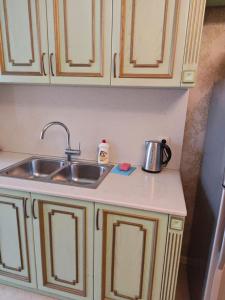 a kitchen counter with a sink and a pot on it at Modern Comfort in Old Tbilisi in Tbilisi City
