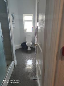 a bathroom with a toilet and a window at Sussex Lodge Contractors House in Slough