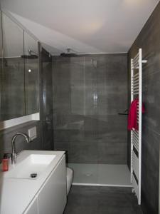 a bathroom with a shower and a sink and a toilet at Urban Art Living - Your temporary home in Niederdorla