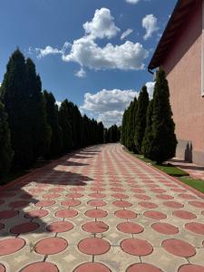a cobblestone road with trees on the side of a building at Casă de vacanță in Ocniţa