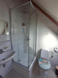 a bathroom with a shower and a toilet and a sink at De zeebries in De Haan